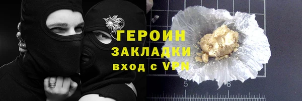 сатива Новозыбков