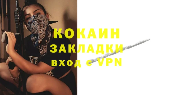 шишки Абдулино