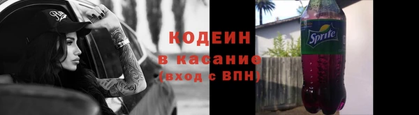 сатива Новозыбков