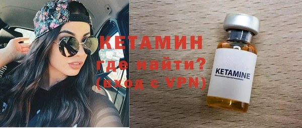 сатива Новозыбков