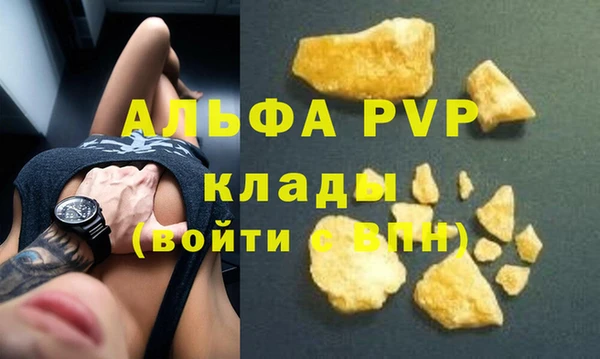 стафф Новокубанск