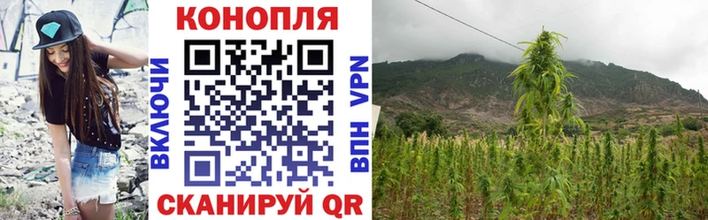 мега как войти  Альметьевск  Бошки марихуана THC 21%  купить наркотики цена 